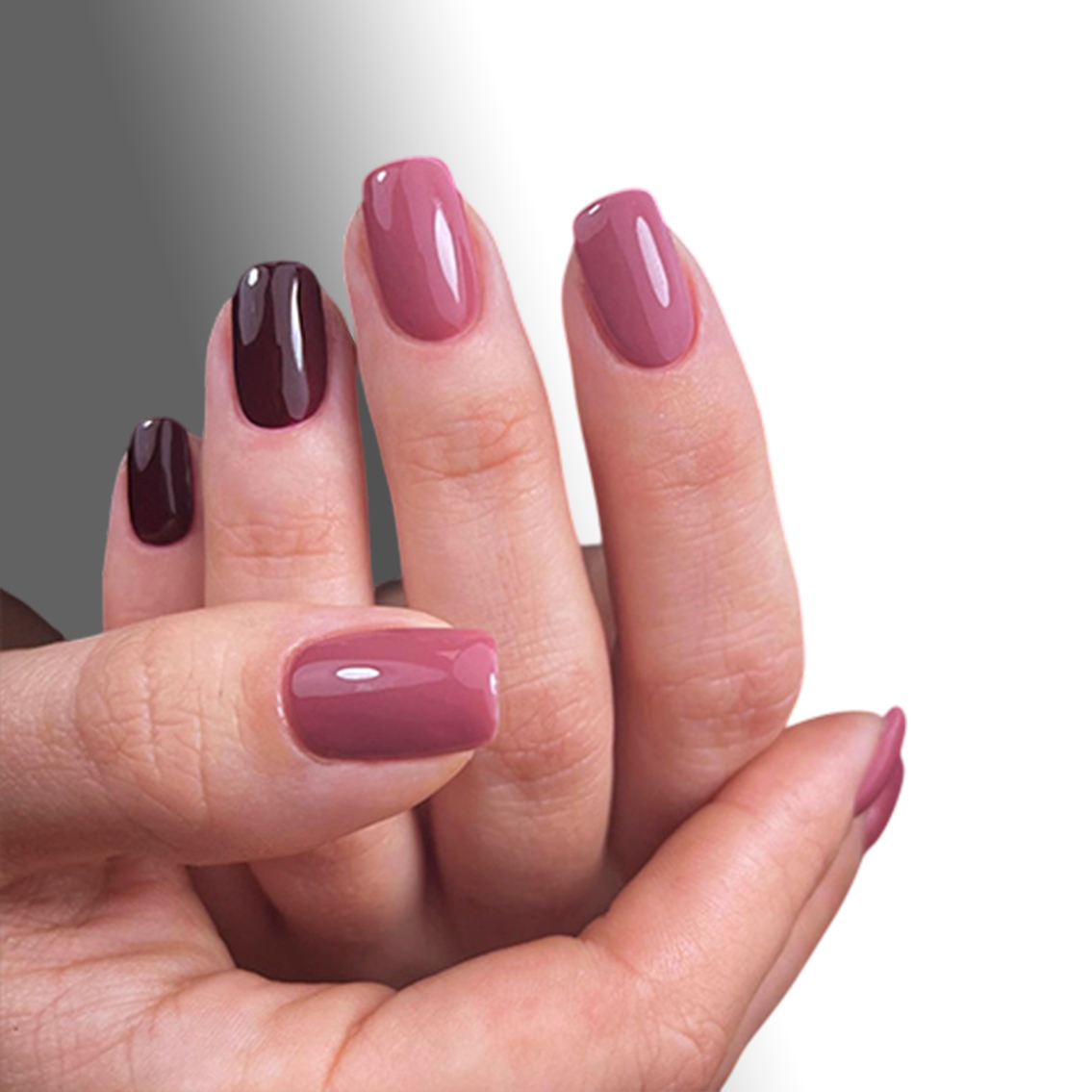 shellac nails Exeter